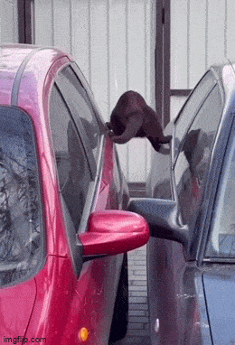 Просто гифки, всякие и&nbsp;разные