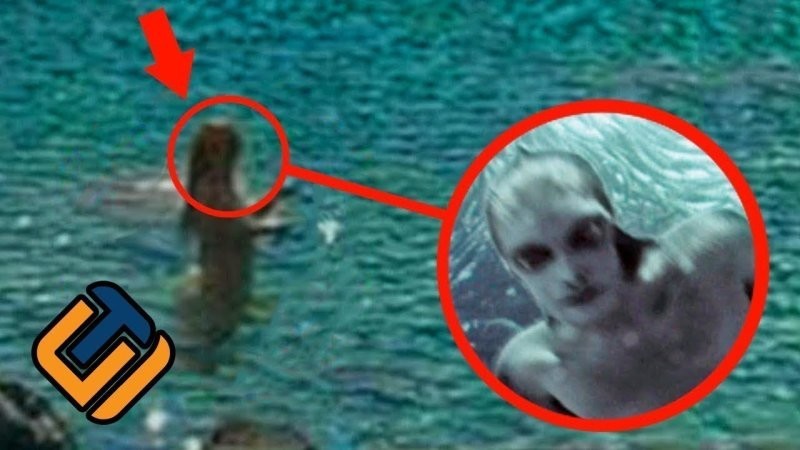 Русалки существуют — просто мы ищем не там