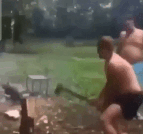 Просто гифки, всякие и&nbsp;разные