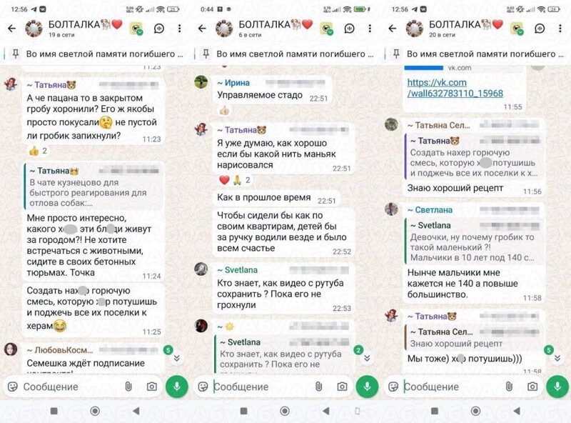 Зоозащитницы хотели сжечь деревню, где собаки напали на ребенка