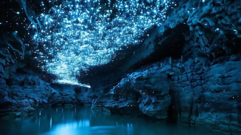 6. Пещеры Светлячков Вайтомо, Новая Зеландия