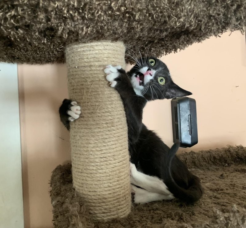 19. Я всё равно тебя свалю!