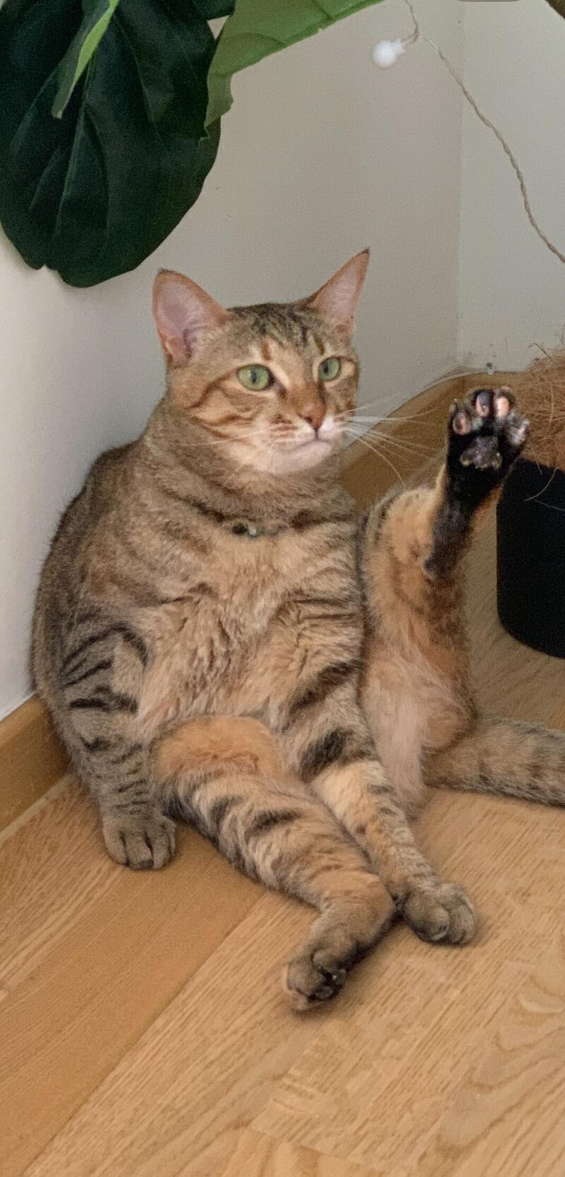 17. И тут меня посетила гениальная идея