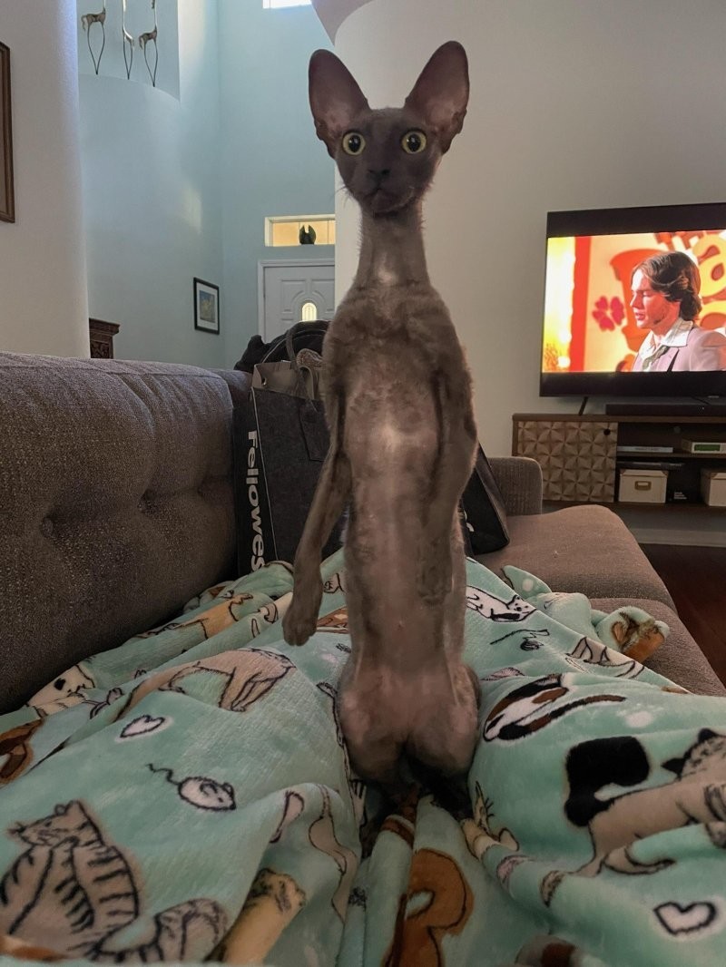 18. Вот это кино!