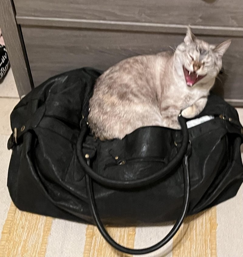 24. Ура, каникулы!