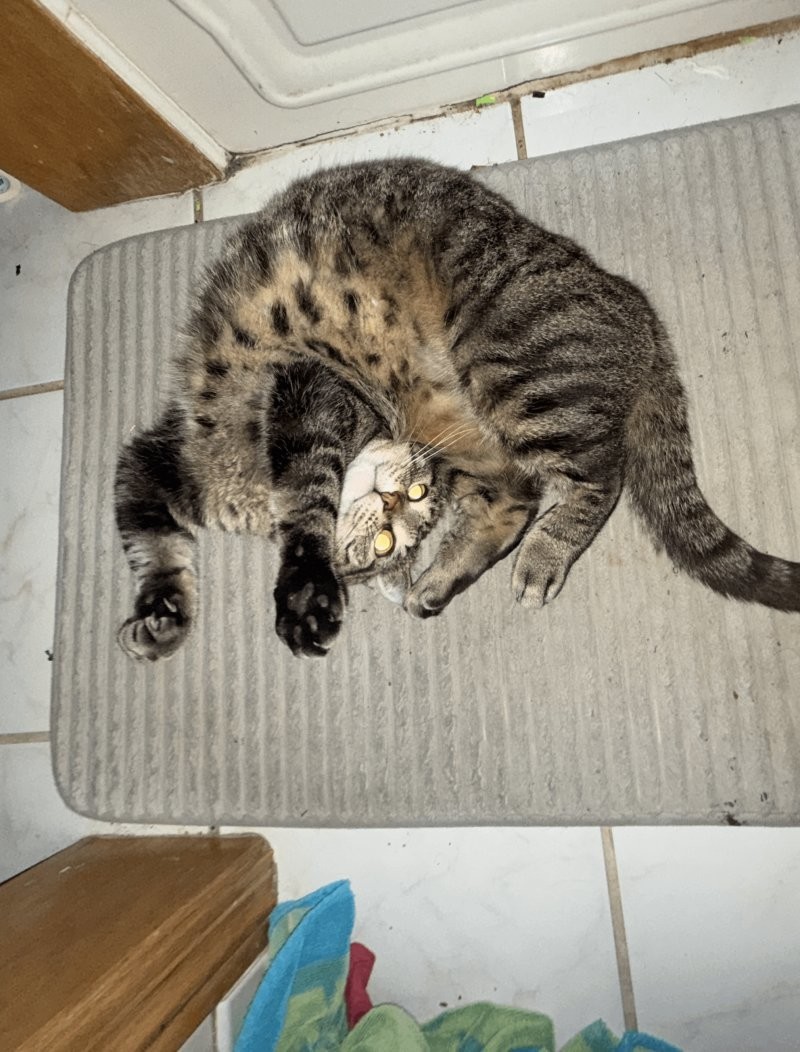 21. Настало время пугающих преображений