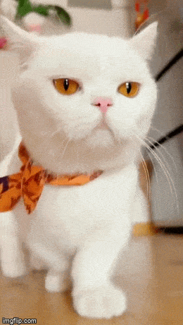 Просто гифки, всякие и&nbsp;разные