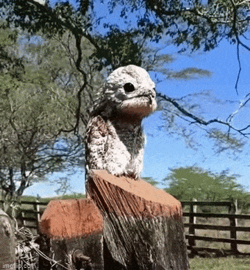 Просто гифки, всякие и&nbsp;разные