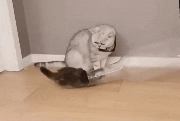 Просто гифки, всякие и&nbsp;разные