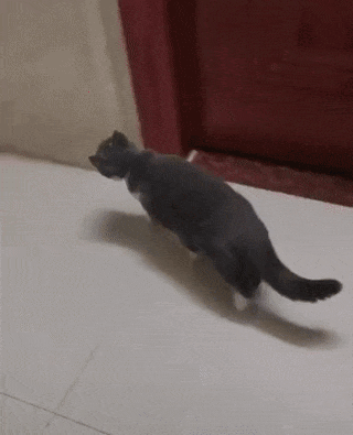 Просто гифки, всякие и&nbsp;разные