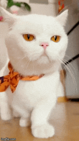 Просто гифки, всякие и&nbsp;разные