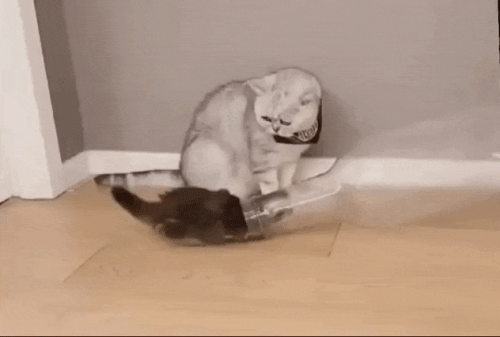 Просто гифки, всякие и&nbsp;разные