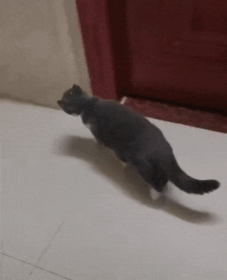 Просто гифки, всякие и&nbsp;разные