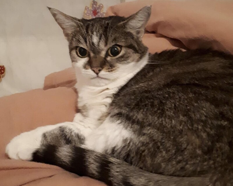 12. Почему подача завтрака задерживается уже на 5 секунд?