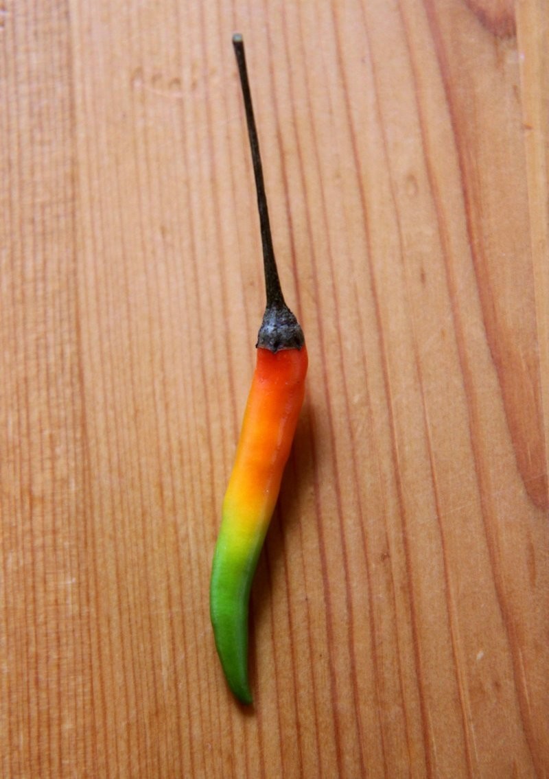 8. Перец чили с идеальной шкалой остроты от «мягкого» до «острого»