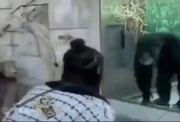 Просто гифки, всякие и&nbsp;разные