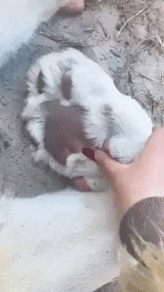 Просто гифки, всякие и&nbsp;разные