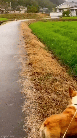 Просто гифки, всякие и&nbsp;разные