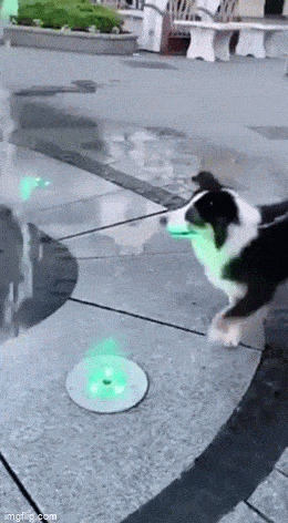 Просто гифки, всякие и&nbsp;разные