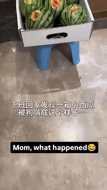 Просто гифки, всякие и&nbsp;разные