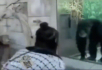 Просто гифки, всякие и&nbsp;разные