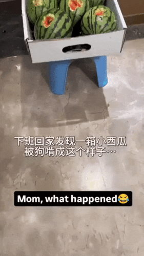 Просто гифки, всякие и&nbsp;разные