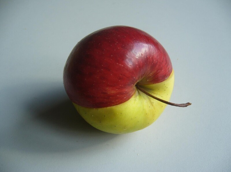 17. Две половинки одного целого