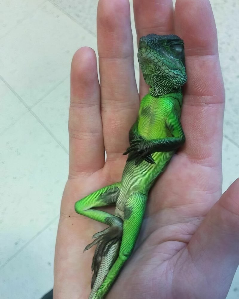 16. Блаженство как образ жизни