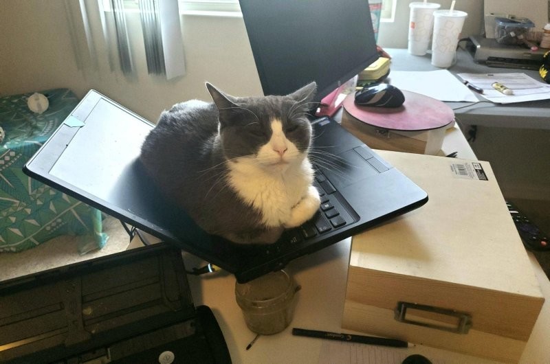 11. Хранитель мудрости