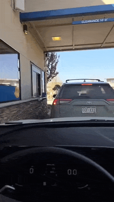 Просто гифки, всякие и&nbsp;разные