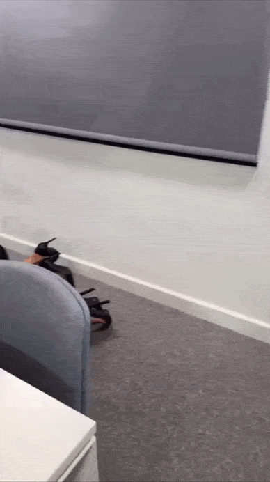 Просто гифки, всякие и&nbsp;разные