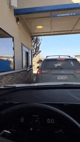 Просто гифки, всякие и&nbsp;разные