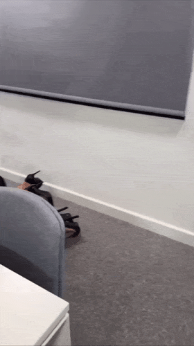 Просто гифки, всякие и&nbsp;разные