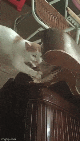 Просто гифки, всякие и&nbsp;разные