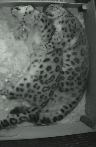 Просто гифки, всякие и&nbsp;разные