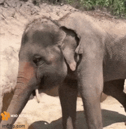 Просто гифки, всякие и&nbsp;разные