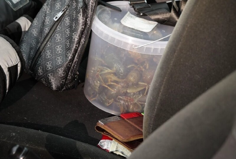 Полицейский рейд на на мигрантов в Санкт-Петербурге