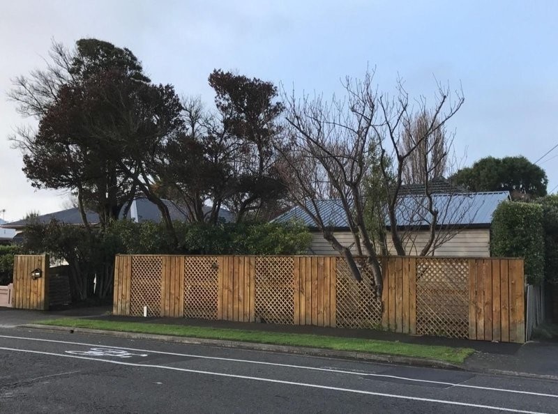 15. Дерево ведёт себя как графический глюк