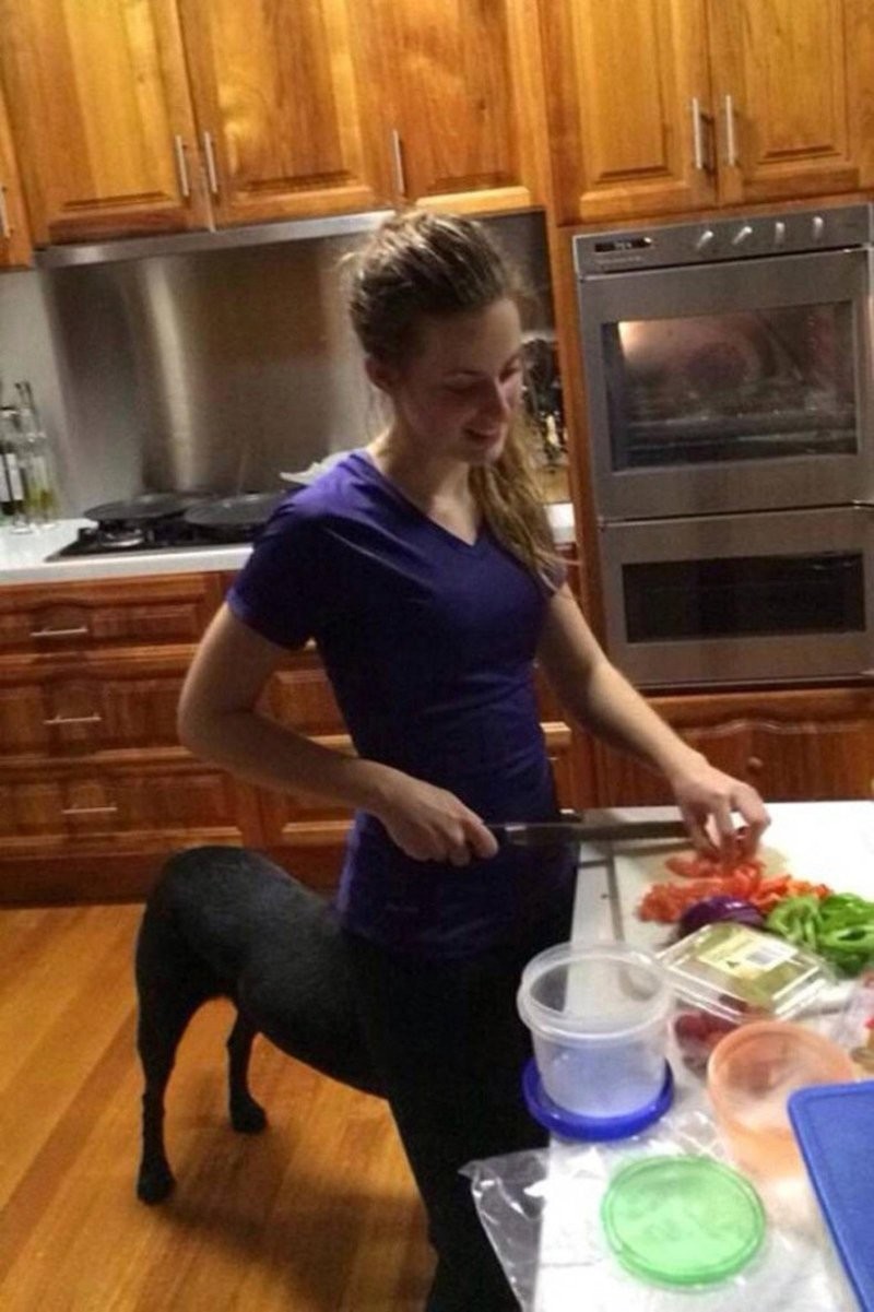 2. Собакавры среди нас