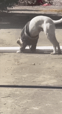 Просто гифки, всякие и&nbsp;разные