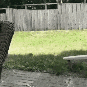 Просто гифки, всякие и&nbsp;разные