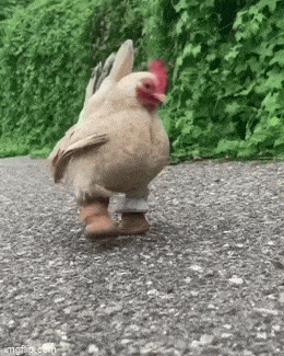 Просто гифки, всякие и&nbsp;разные