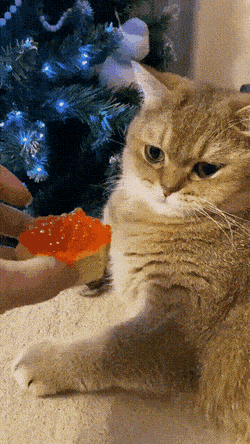 Просто гифки, всякие и&nbsp;разные