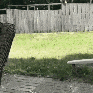 Просто гифки, всякие и&nbsp;разные