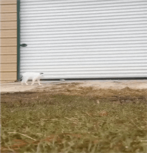 Просто гифки, всякие и&nbsp;разные