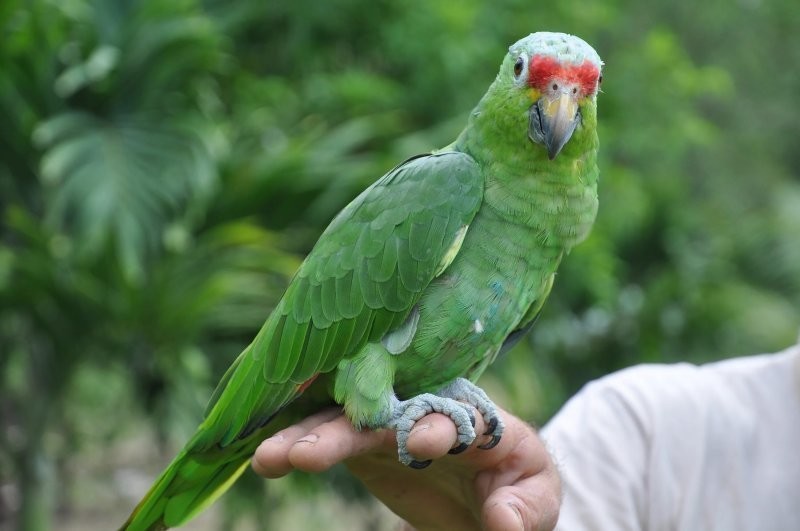 1. И где ты был?