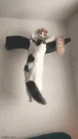 Просто гифки, всякие и&nbsp;разные