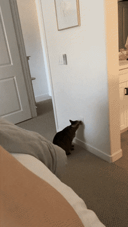 Просто гифки, всякие и&nbsp;разные