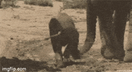 Просто гифки, всякие и&nbsp;разные