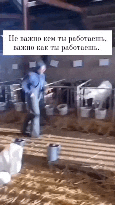 Просто гифки, всякие и&nbsp;разные